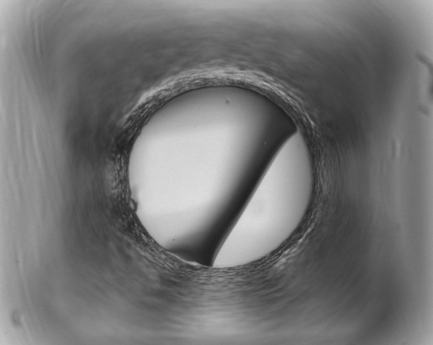 X0000102001494200807180836