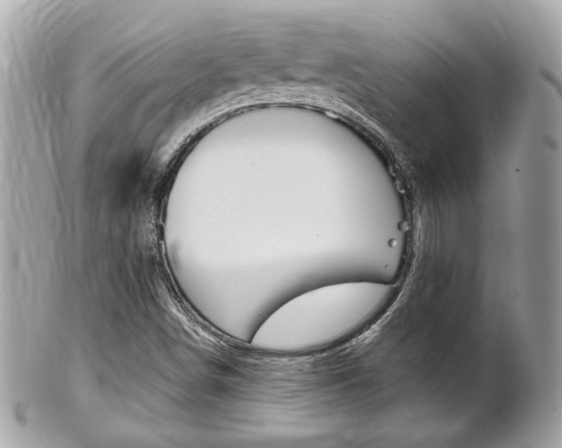 X0000102001498200807180836