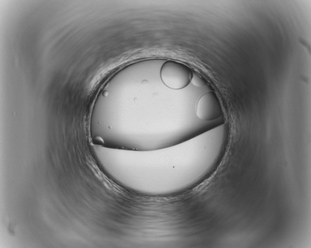 X0000102001499200807180836