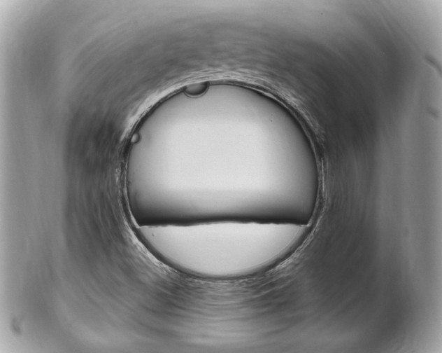 X0000102001500200807180836