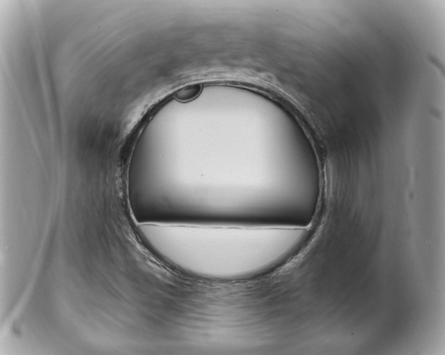 X0000102001501200807180836