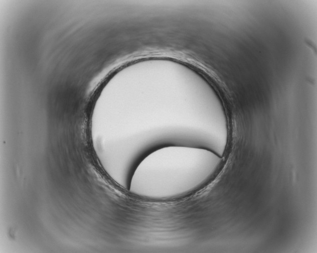 X0000102001502200807180837