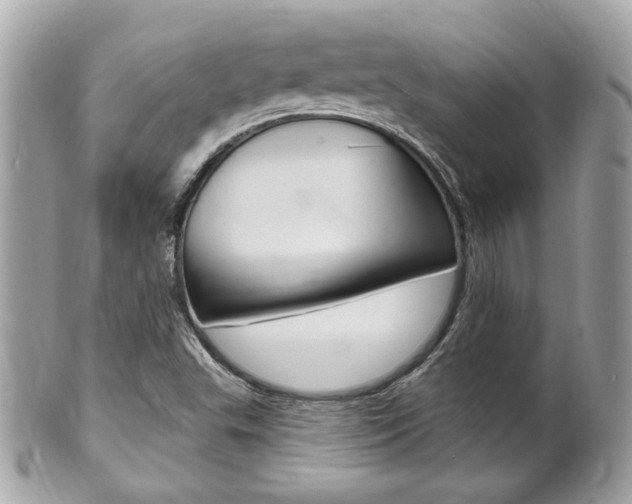 X0000102001503200807180837