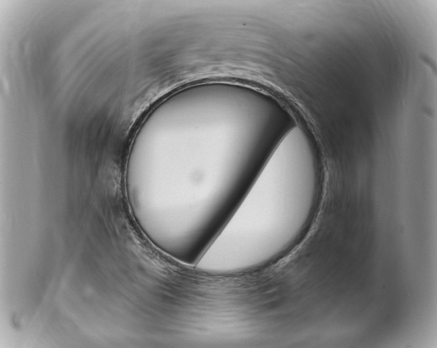 X0000102001505200807180837