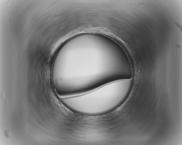 X0000102001506200807180837