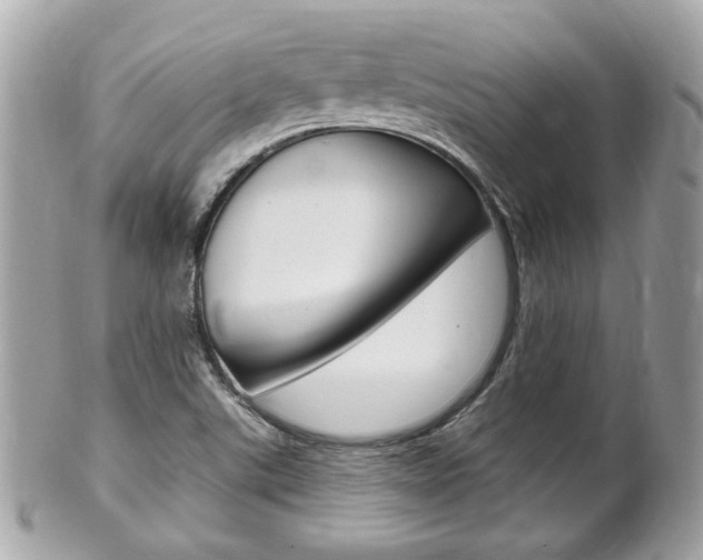 X0000102001507200807180837