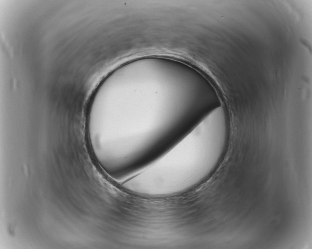 X0000102001508200807180837