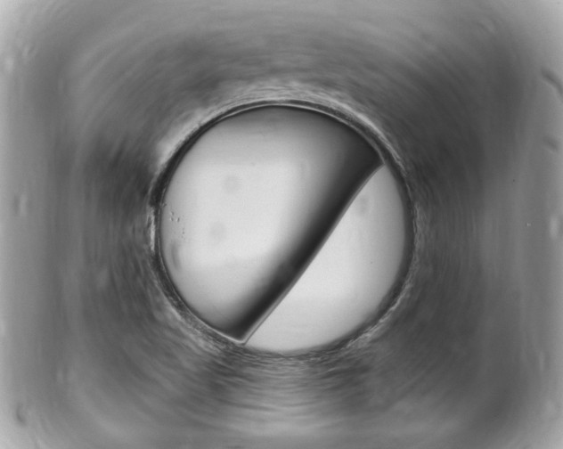 X0000102001509200807180837