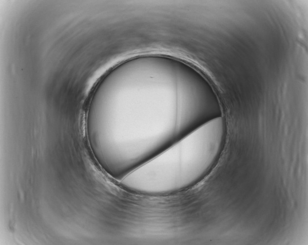 X0000102001510200807180837