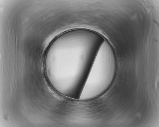 X0000102001511200807180837