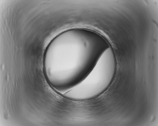 X0000102001512200807180837