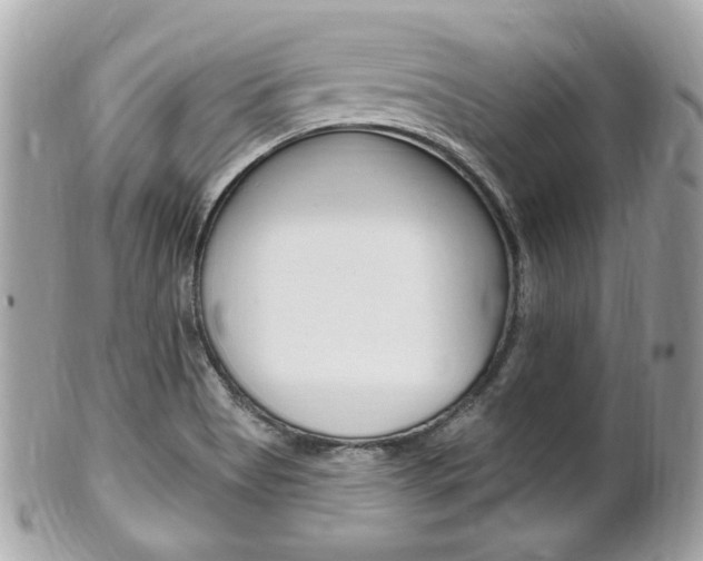 X0000102001513200807180837