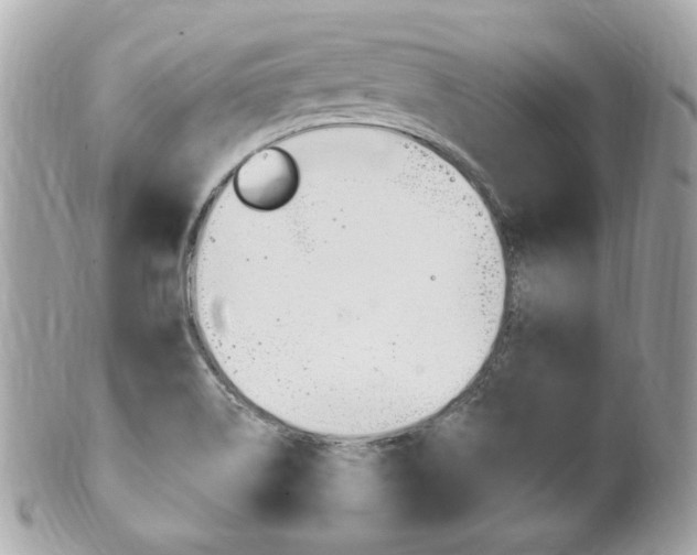X0000102001514200807180837