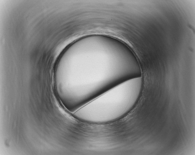 X0000102001515200807180837