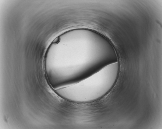 X0000102001516200807180837