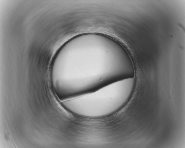 X0000102001517200807180837