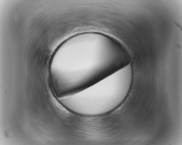 X0000102001518200807180837