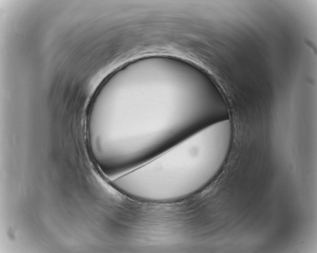 X0000102001519200807180837