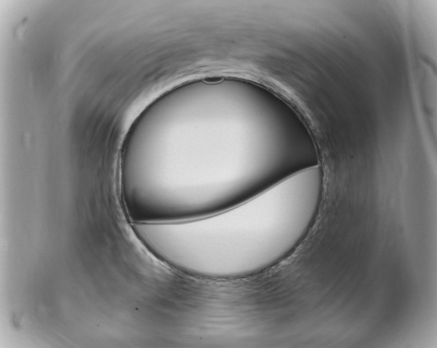 X0000102001520200807180837