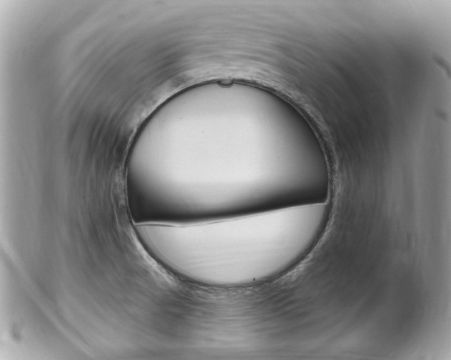 X0000102001521200807180837