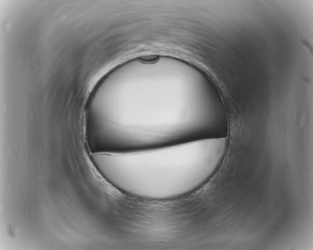 X0000102001522200807180837