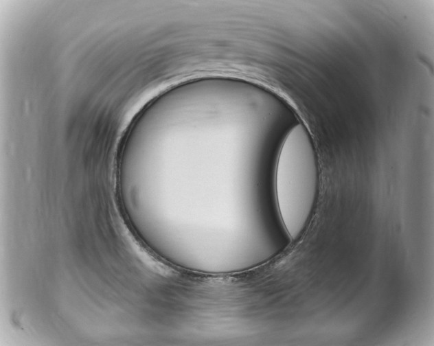 X0000102001523200807180837