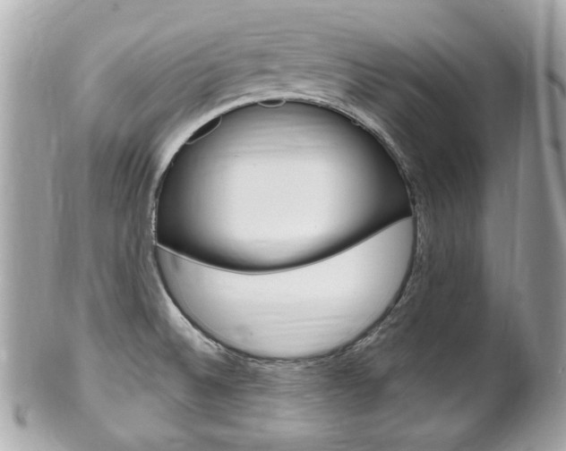 X0000102001524200807180837