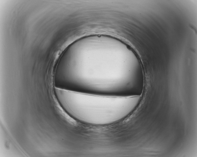 X0000102001525200807180837