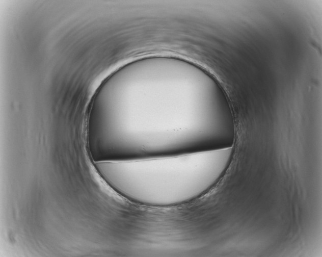 X0000102001526200807180837