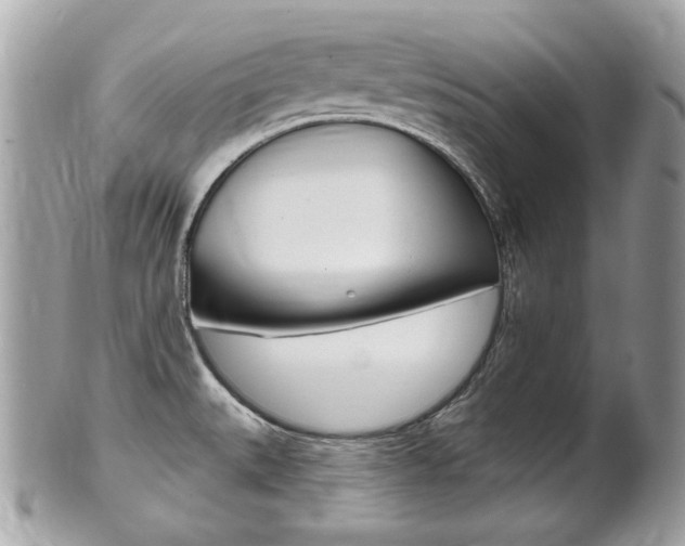 X0000102001527200807180837