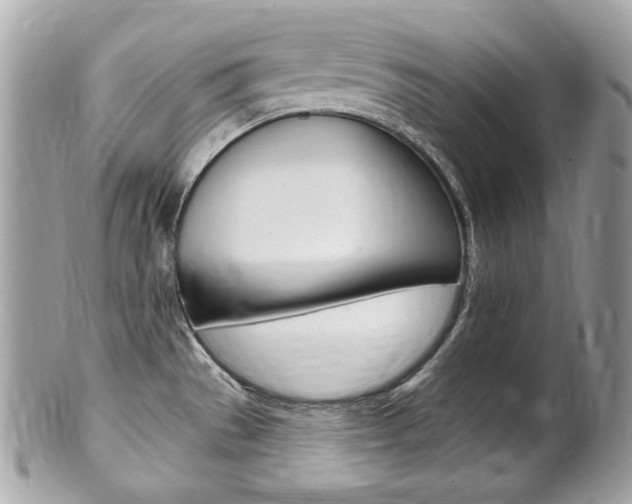 X0000102001529200807180837