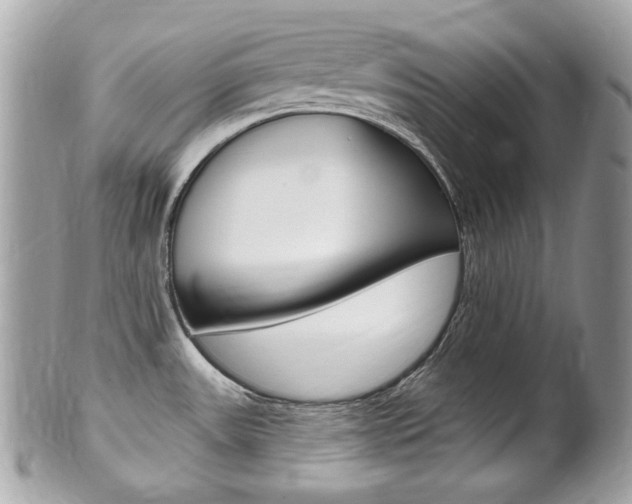 X0000102001531200807180837