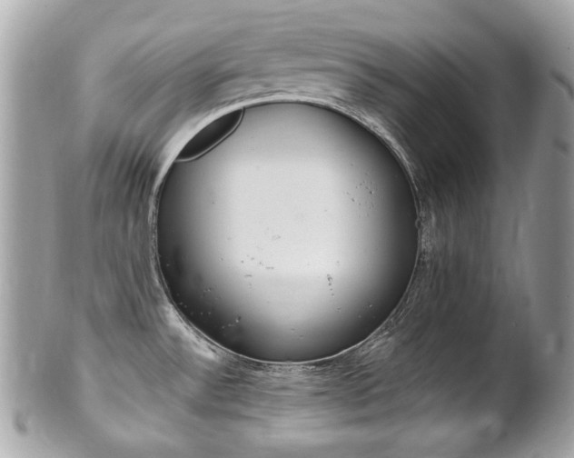 X0000102001532200807180837