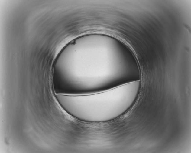 X0000102001533200807180837