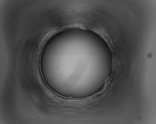 X0000102000001200807181215