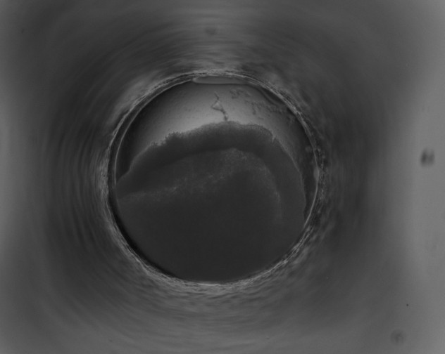 X0000102000002200807181215