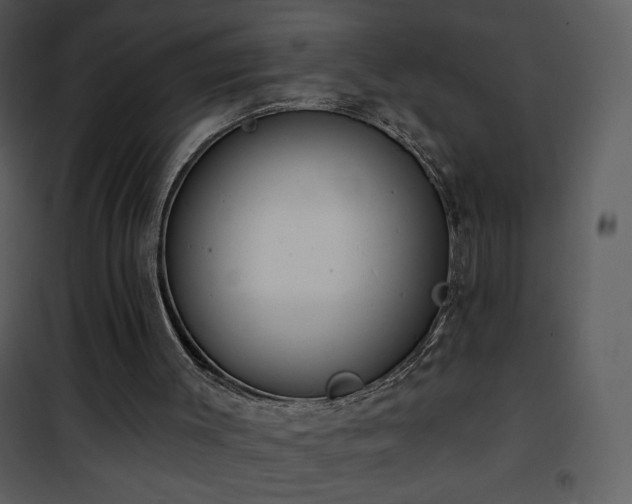 X0000102000003200807181215