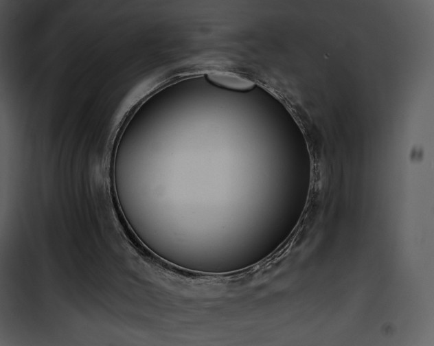 X0000102000004200807181215