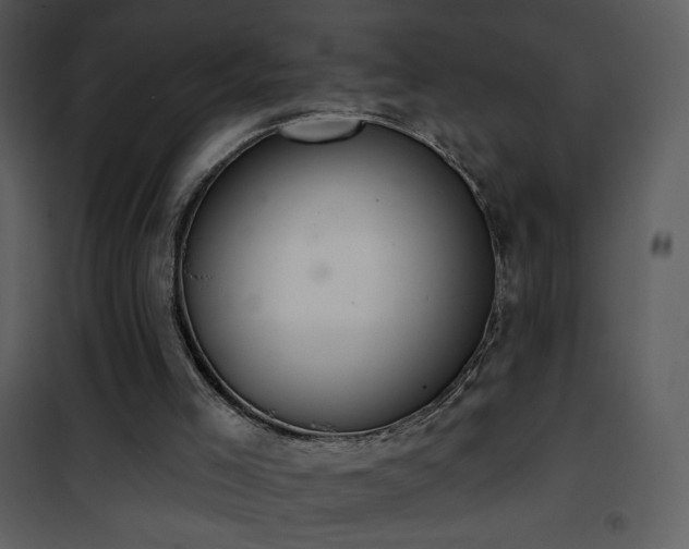 X0000102000005200807181215