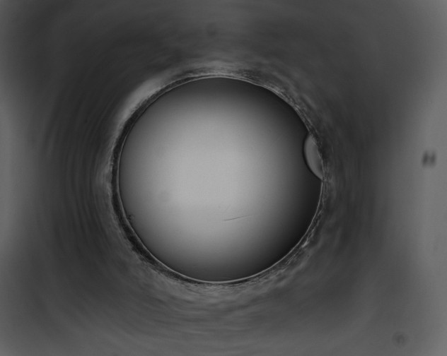 X0000102000006200807181215