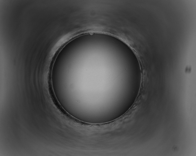 X0000102000007200807181215