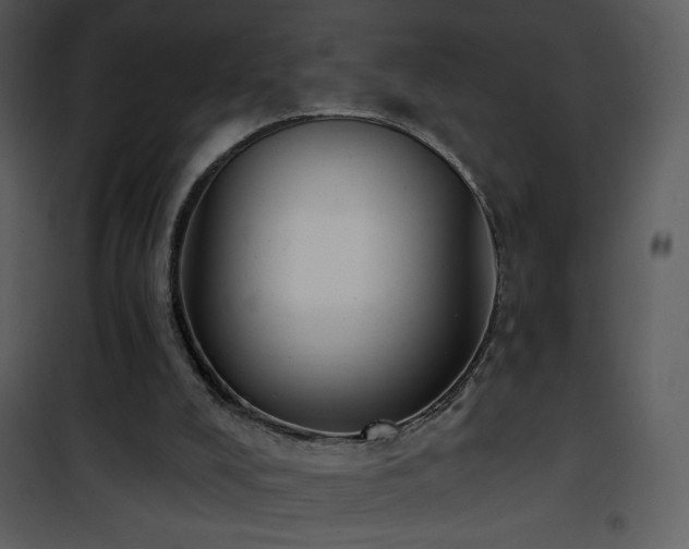 X0000102000008200807181215