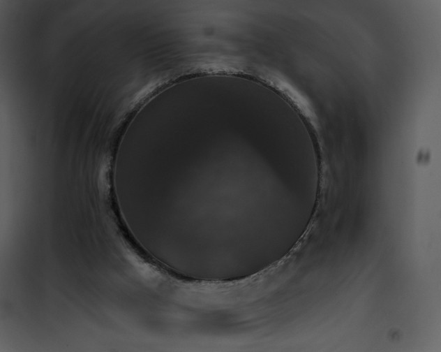 X0000102000009200807181215