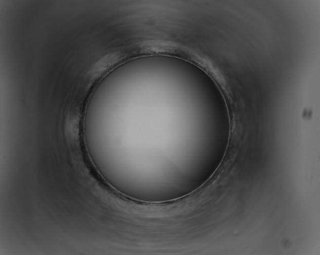 X0000102000010200807181215