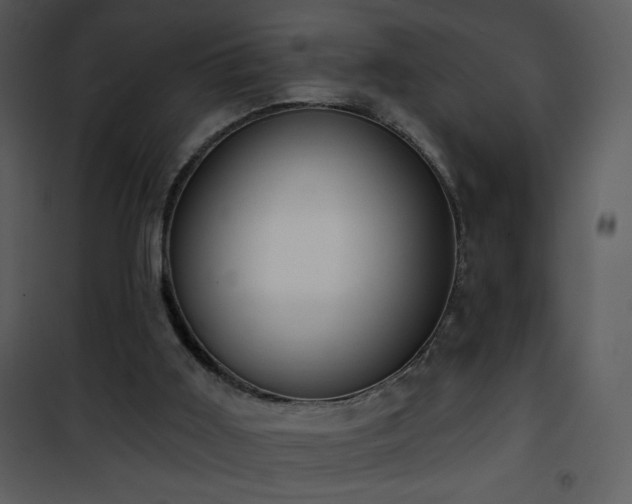 X0000102000011200807181215