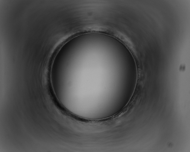 X0000102000012200807181215