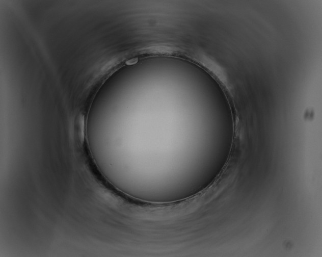 X0000102000013200807181215