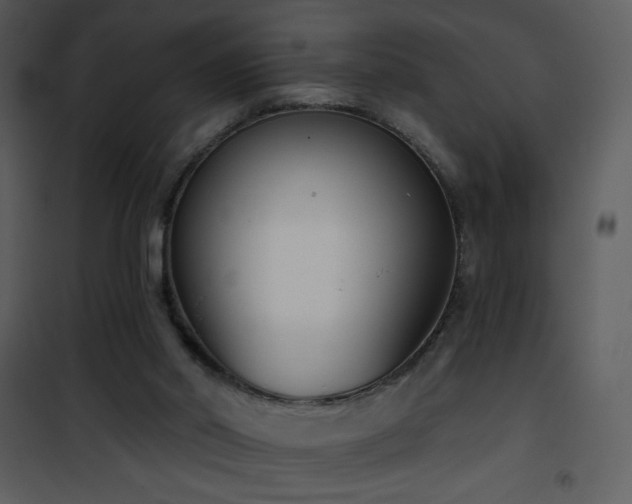 X0000102000014200807181215