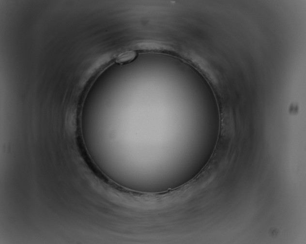 X0000102000015200807181215