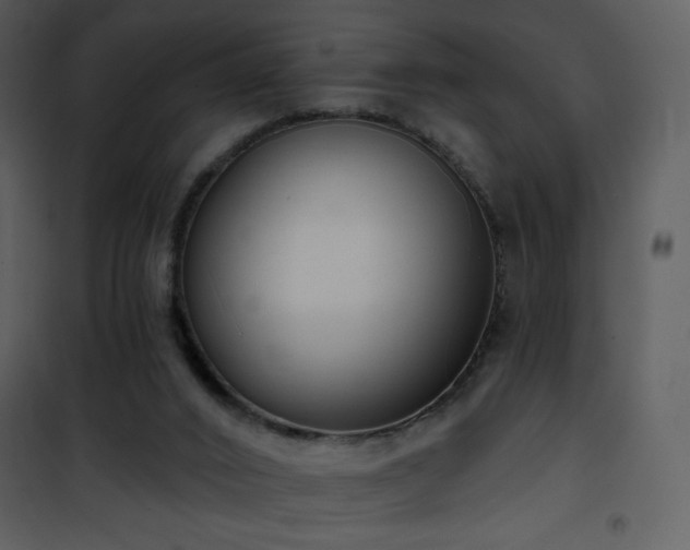 X0000102000016200807181215